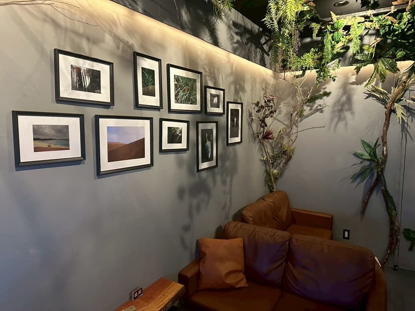 Gallery image 8